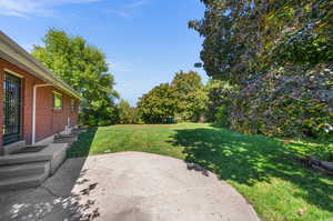 View of yard featuring a patio area