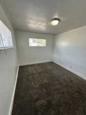 Carpeted spare room featuring a wealth of natural light and a textured ceiling