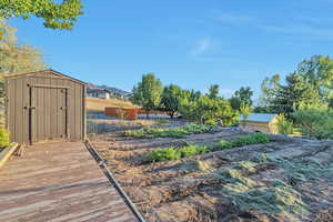 View of yard with a storage shed