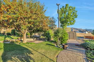 View of yard featuring a storage unit, a patio, and a mountain view