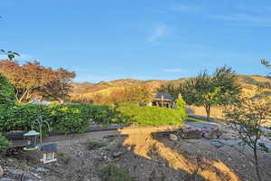 View of yard with a mountain view