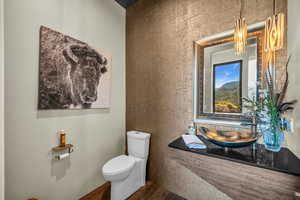 Bathroom with sink, wood-type flooring, and toilet