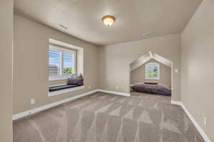 Interior space featuring a textured ceiling, lofted ceiling, and light carpet