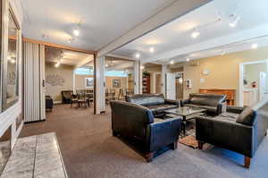 Carpeted living room featuring rail lighting