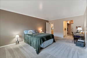 Bedroom with light carpet and ornamental molding