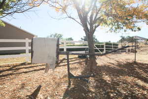 View of homemade bucking bronco