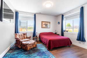 Bedroom with dark hardwood / wood-style flooring and multiple windows