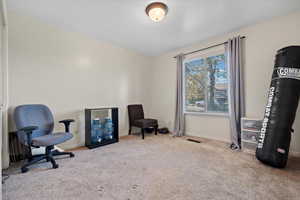 Living area with light carpet