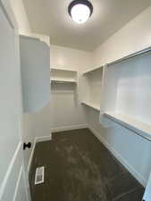 Walk in closet with dark colored carpet