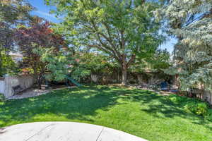 View of yard with a patio