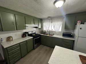 Kitchen with stainless steel appliances, sink, green cabinetry, and dark hardwood / wood-style floors