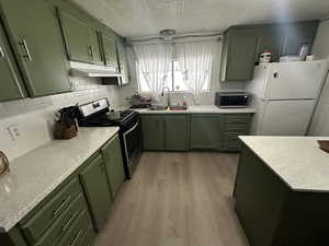 Kitchen featuring green cabinetry, stainless steel stove, sink, and white refrigerator