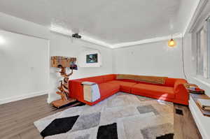 Living room with wood-type flooring and a textured ceiling