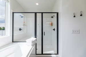 Bathroom with separate shower and tub