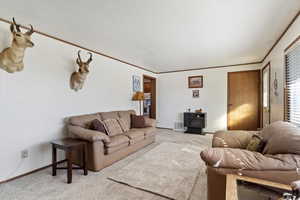 Carpeted living room with a wood stove and a textured ceiling