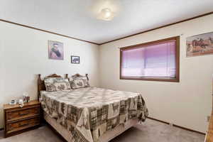 Carpeted bedroom with a textured ceiling