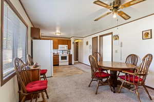 Carpeted dining space with ceiling fan, a textured ceiling, and ornamental molding