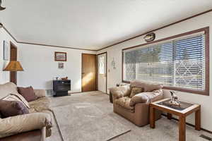 Living room featuring a textured ceiling, light carpet, and a wood stove