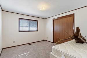 Unfurnished bedroom with a textured ceiling, a closet, crown molding, and carpet