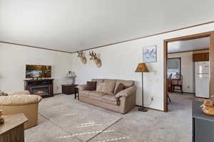 Carpeted living room with a textured ceiling