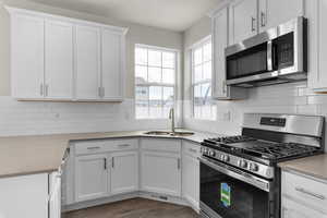 Kitchen featuring white cabinets, stainless steel appliances, sink, and dark hardwood / wood-style flooring