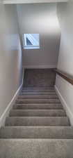 Stairs with carpet floors