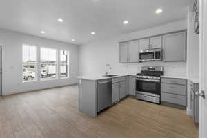 Kitchen with light hardwood / wood-style flooring, stainless steel appliances, kitchen peninsula, and sink