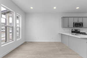 Kitchen featuring sink, kitchen peninsula, light hardwood / wood-style flooring, gray cabinets, and stainless steel appliances