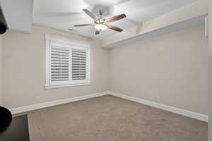 Basement Bedroom 2 w/walk-in Closet in Bedroom