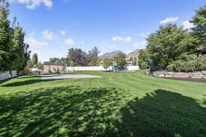 Backyard Large Open Space