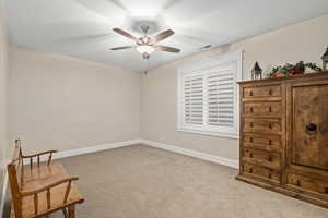 Basement Bedroom 3 w/walk-in closet