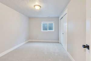 Spare room with light colored carpet and a textured ceiling