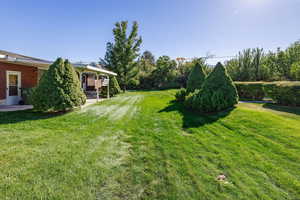 View of yard featuring a patio area