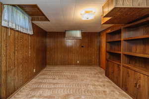 Basement with wood walls and light colored carpet