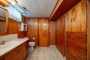 Bathroom with wooden walls, vanity, and toilet