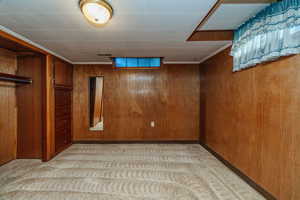 Basement with light carpet and wood walls