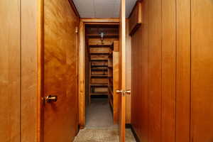 Hallway featuring wooden walls and carpet floors