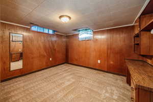 Basement with light colored carpet and wood walls