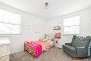 Carpeted bedroom featuring multiple windows