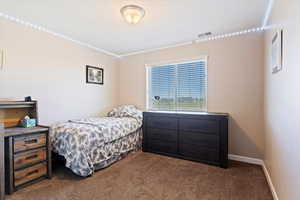 Bedroom with dark carpet