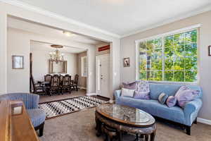 Carpeted living room featuring a chandelier, a textured ceiling, and crown molding