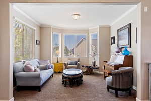 Living area featuring a textured ceiling, carpet, and ornamental molding