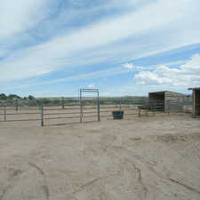 Chicken Coops/Corrals etc