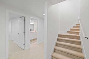Stairs featuring carpet flooring