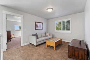 Living room with carpet and a textured ceiling