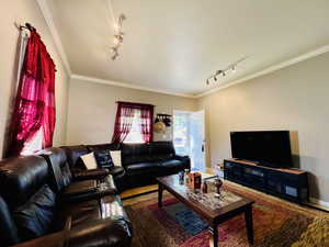 Living room with crown molding, track lighting, and hardwood / wood-style flooring