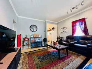 Living room with wood-type flooring and crown molding