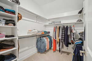 Spacious closet featuring light colored carpet