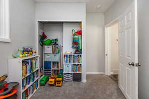 Downstairs bedroom.