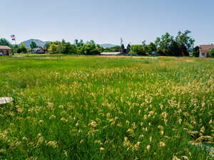 View of yard with a mountain view